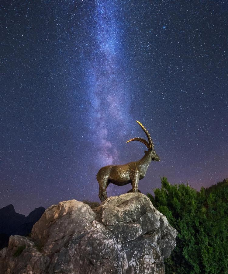 Jasna Chalet Resort Kranjska Gora Dış mekan fotoğraf